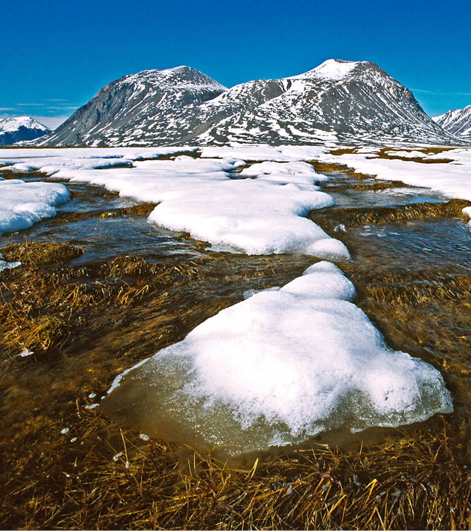 Billede af sne og is i Arktis