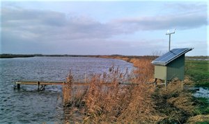 River Skjern/Photo: Niels B. Ovesen © 