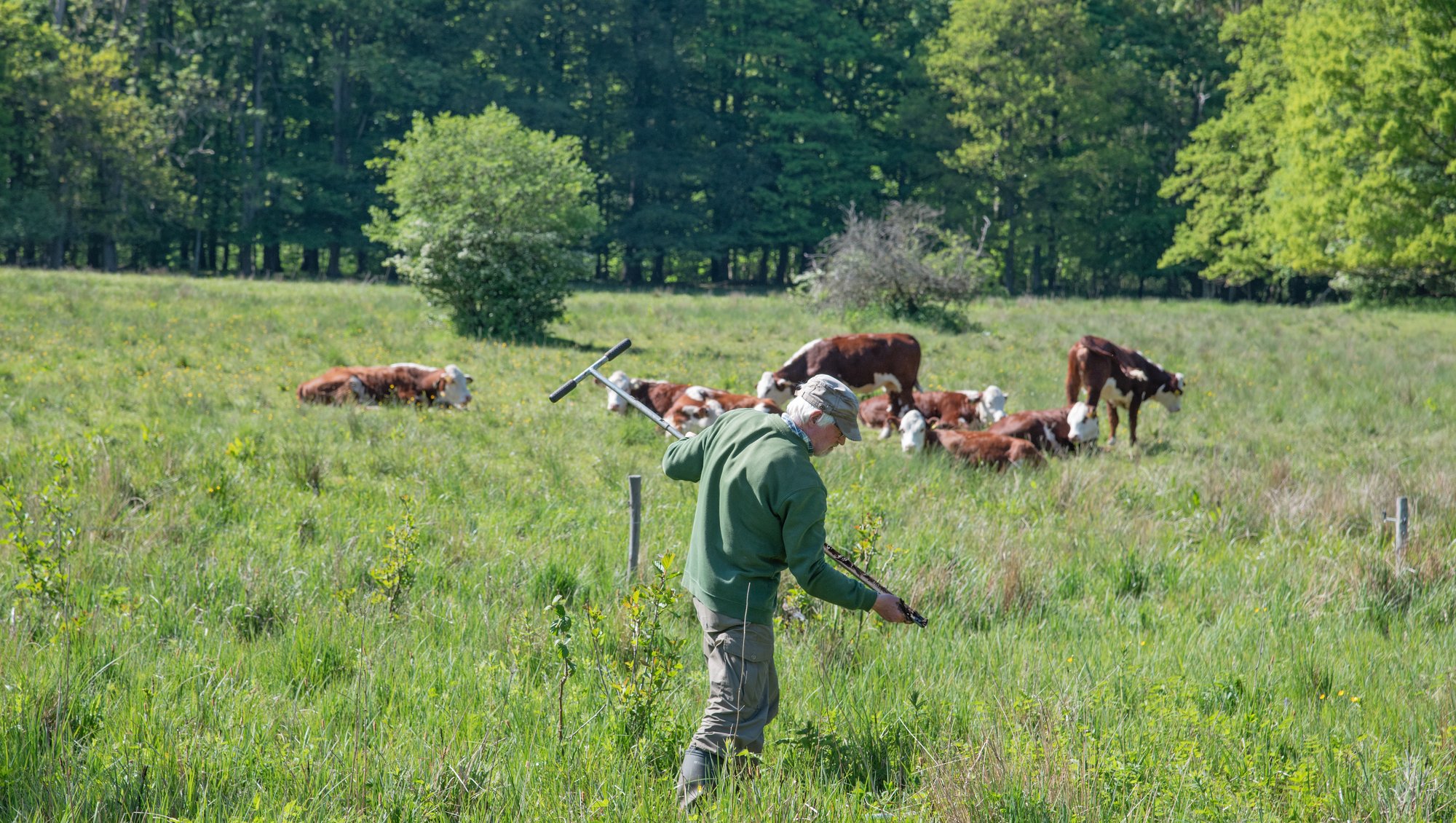 Foto: Erik Vinther 31-05-2021 ©