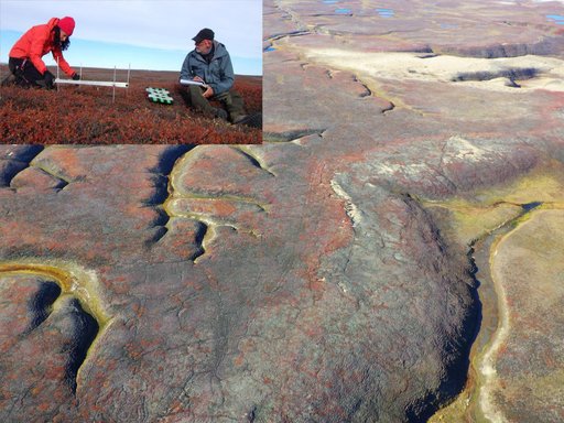 Illustration kørespor / Foto: Peter Aastrup ©