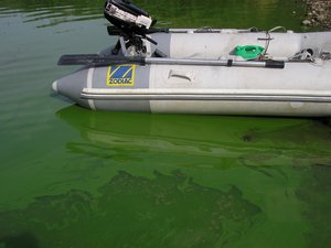 Illustration: Martin Søndergaard ©