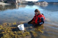 Photo of Lis Bach taken by Photo: Jens Søndergaard ©