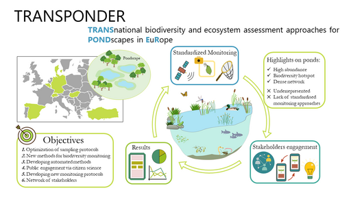 Graphical representation of TRANSPONDER