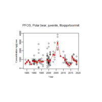 Illustration polar bears