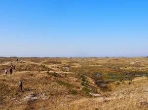 Photo: Andrea Oddershede