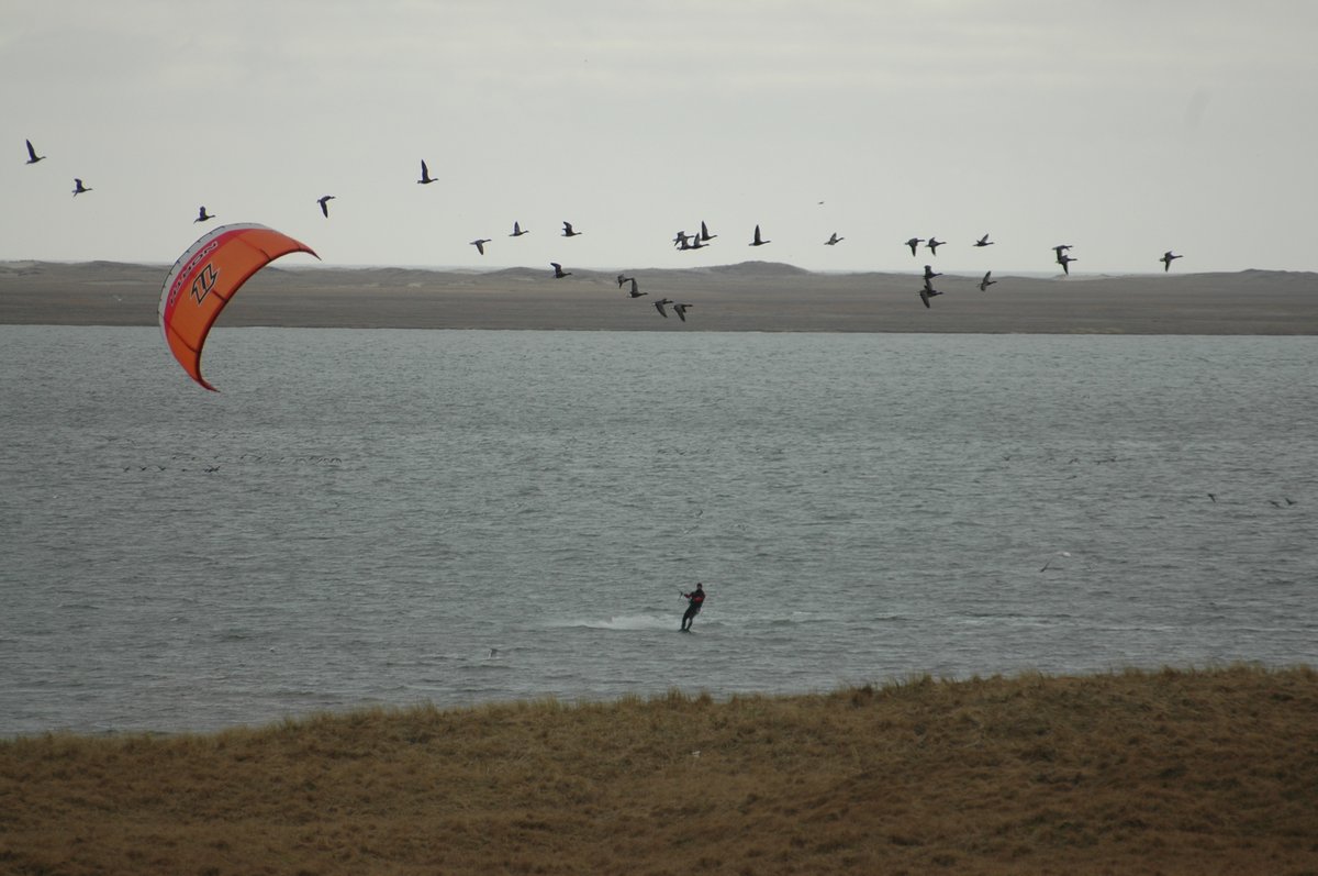 Foto: Lars Maltha Rasmussen ©