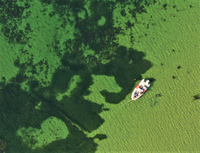 Drone recording/Michael Bo Rasmussen