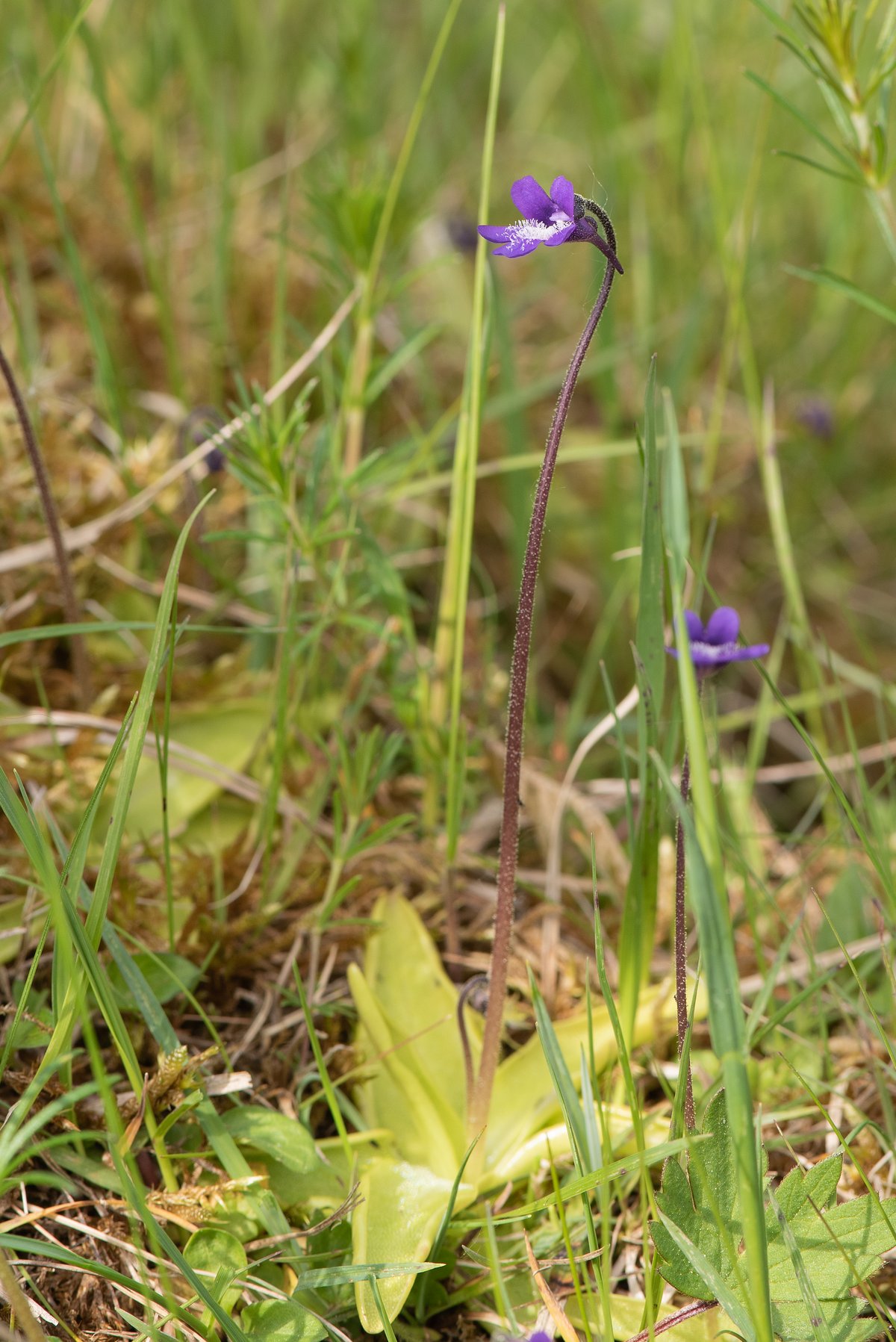 Foto: Erik Vinther 15-08-2022 ©