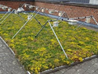 Image-based monitoring of pollinators / Photo: Toke Thomas Høye ©