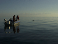 Foto: Jonas Teilmann