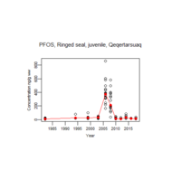Illustration ringed seals