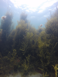 [Translate to English:] Illustration / Photo: Scott Bennett©