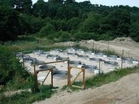 Illustration / Photo: Karina Jensen ©