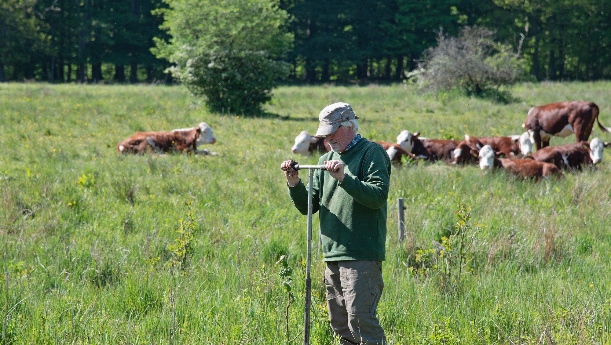 Foto: Erik Vinther 31-05-2021 ©