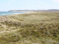 Coastal dunes / Novana Photo ©