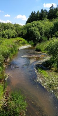 Illustration / Photo: Helena Kallestrup ©