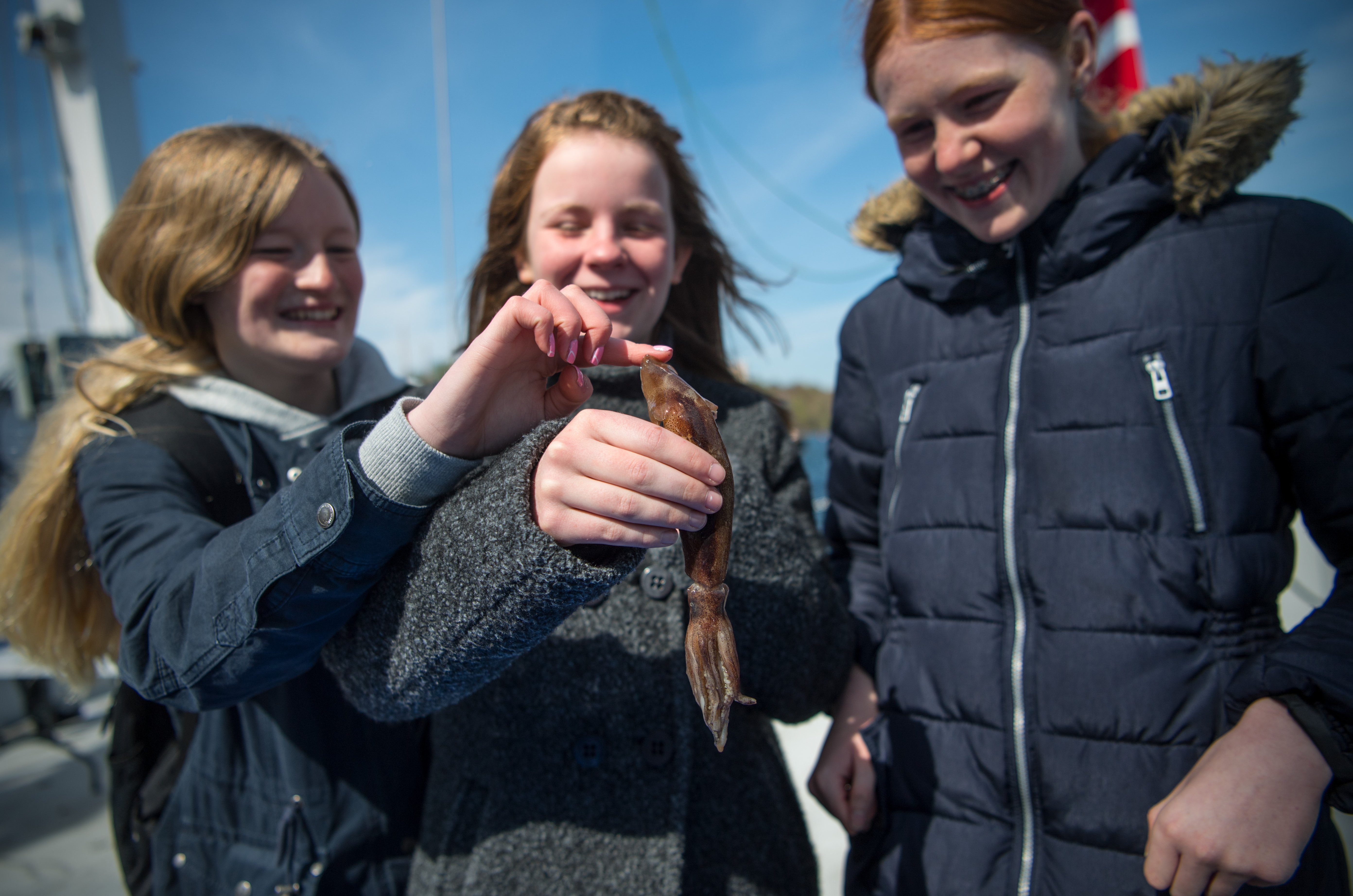 Illustration/Foto: Peter Bondo Christensen ©