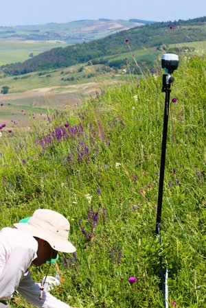 Foto: Skjold Alsted Søndergaard
