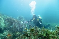 Under water / Photo: Karsten Dahl ©