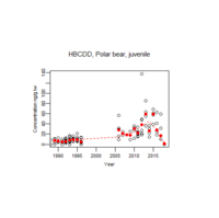 Illustration polar bears