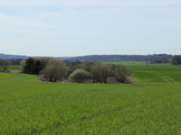 Illustration / Photo: Beate Strandberg ©