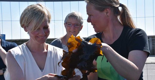 Ida Auken / Foto: Lone Mouritsen ©