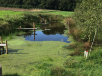 Illustration / Photo: Mette Vodder Carstensen ©