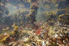 Photo: Karsten Dahl ©