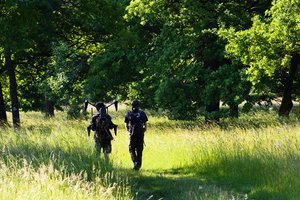 Photo: Skjold Alsted Søndergaard
