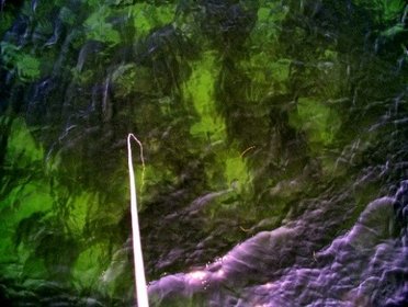 From the drone/Drone image by Michael Bo Rasmussen ©