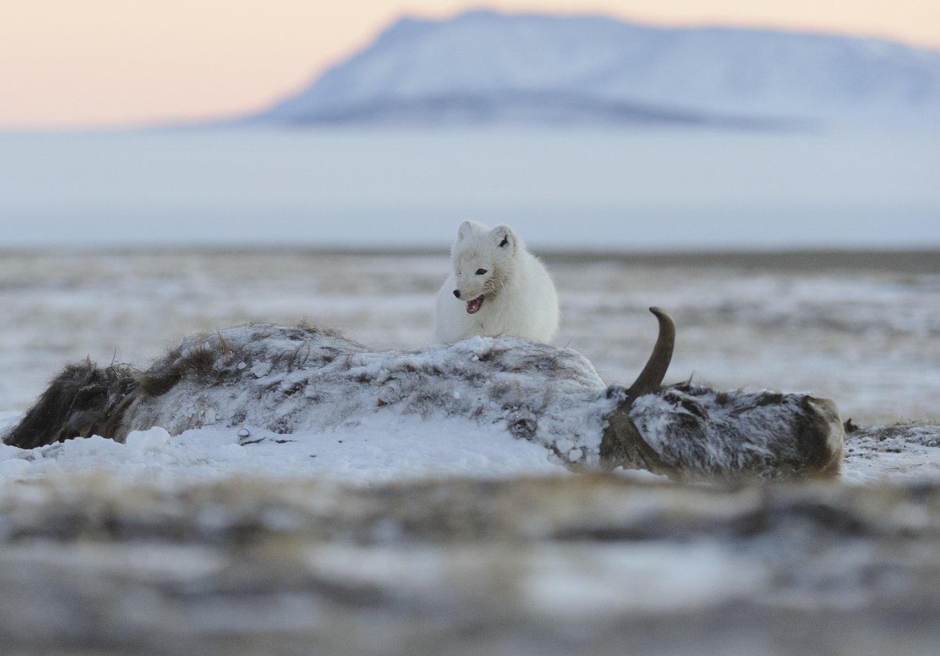 Foto: Lars Holst Hansen