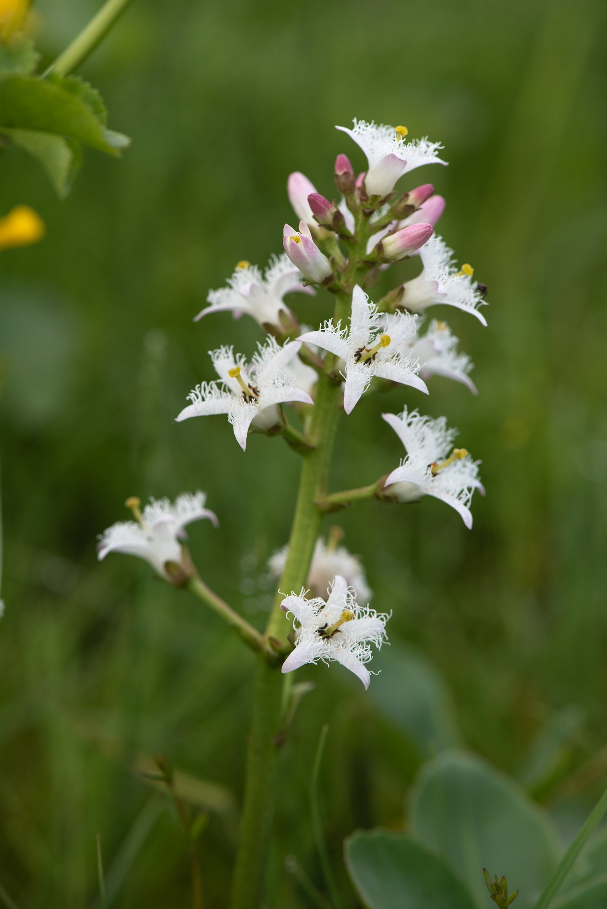 Foto: Erik Vinther 15-08-2022 ©