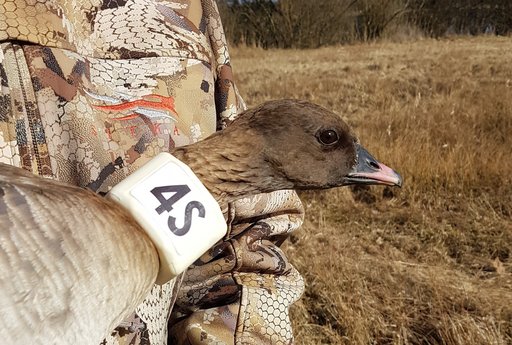 Illustration / Foto: Jacob Sterup ©