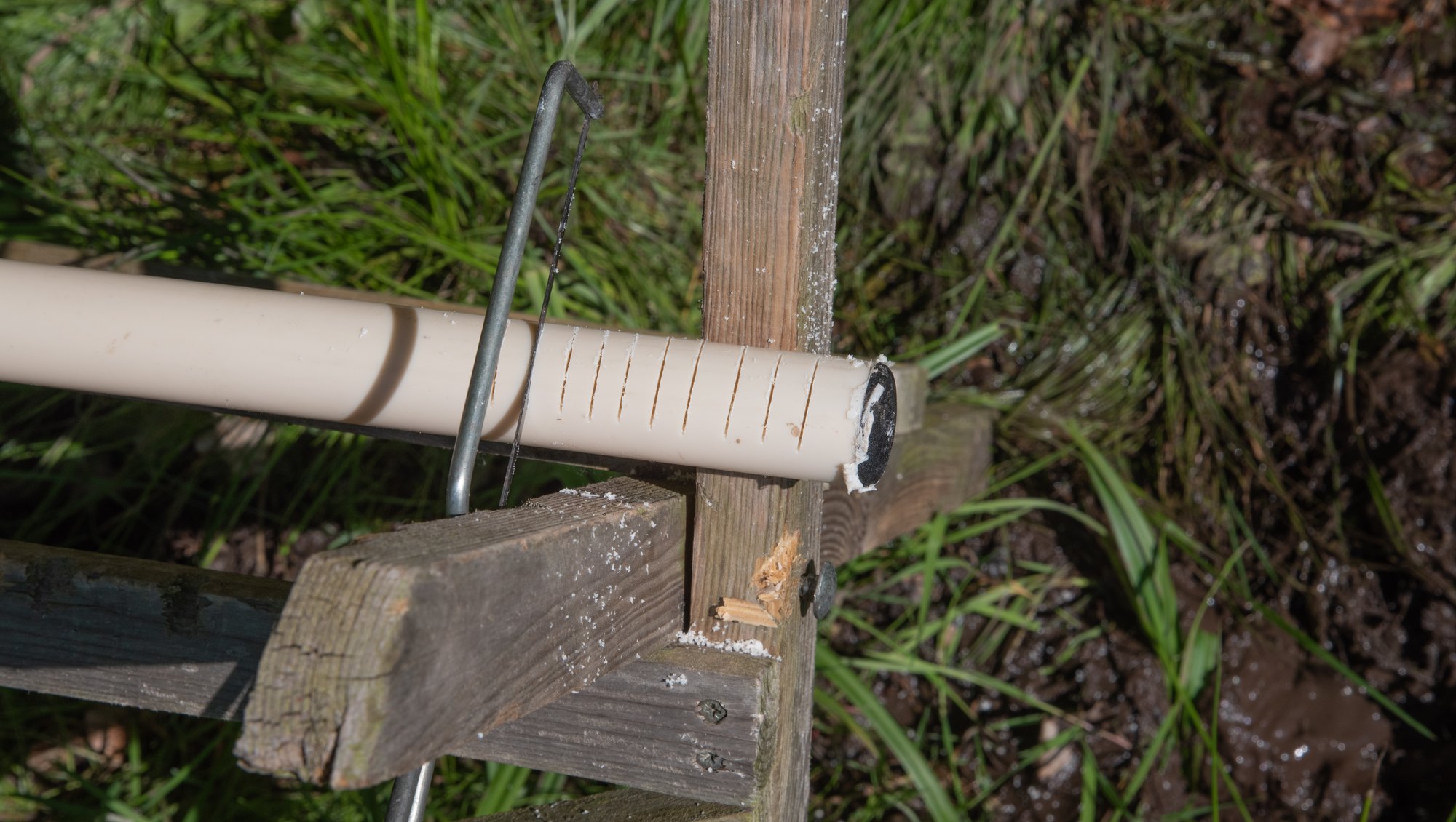 Foto: Erik Vinther 31-05-2021 © 