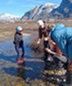 Tyve studerende fra syv lande studerer i disse uger klimaforandringerne i Nuuk. Her arbejder de i et af vandløbene i Kobbefjord. Foto: Dorte H. Søgaard. 