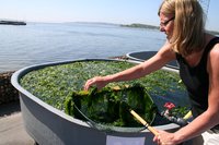 Illustration: Michael Bo Rasmussen© 