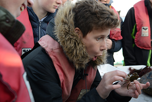 Barn undersøger hvad han har fundet i havet
