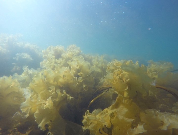 Illustration: Scott Bennett ©